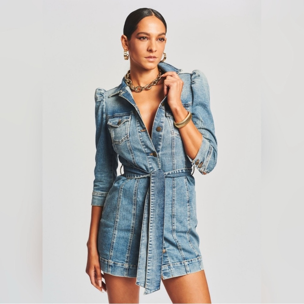 Retrofete Blue Denim Mini Dress